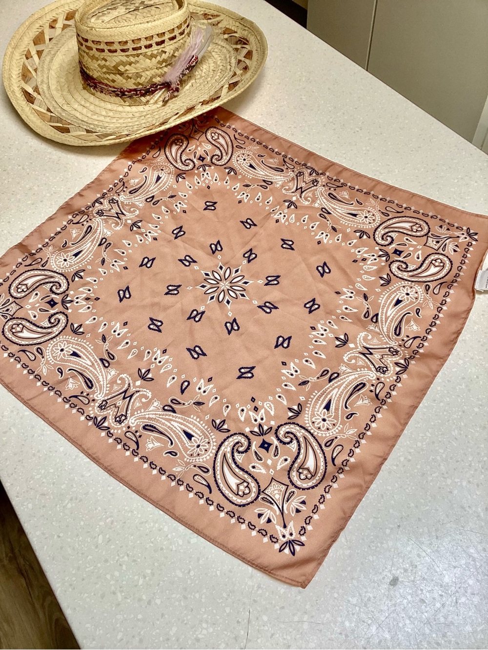 American Eagle Outfitters Dusty Rose Paisley Bandana Scarf